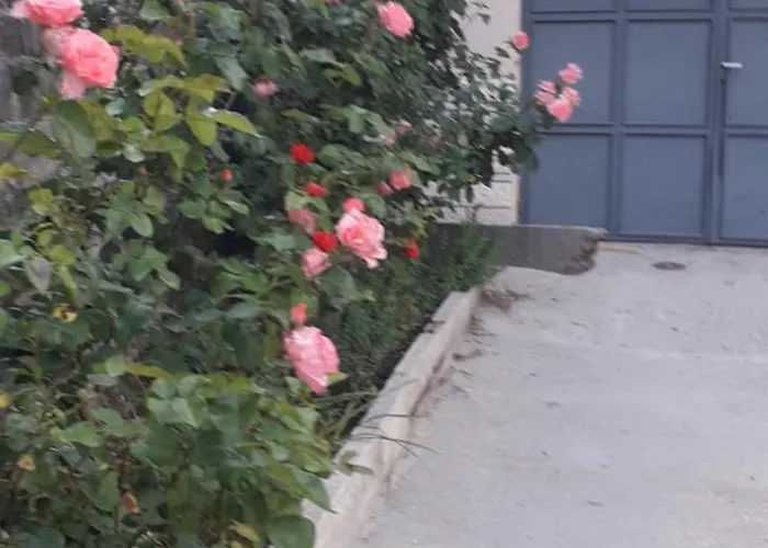 בית הארחה Shena